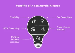 Advantages of A License for Business