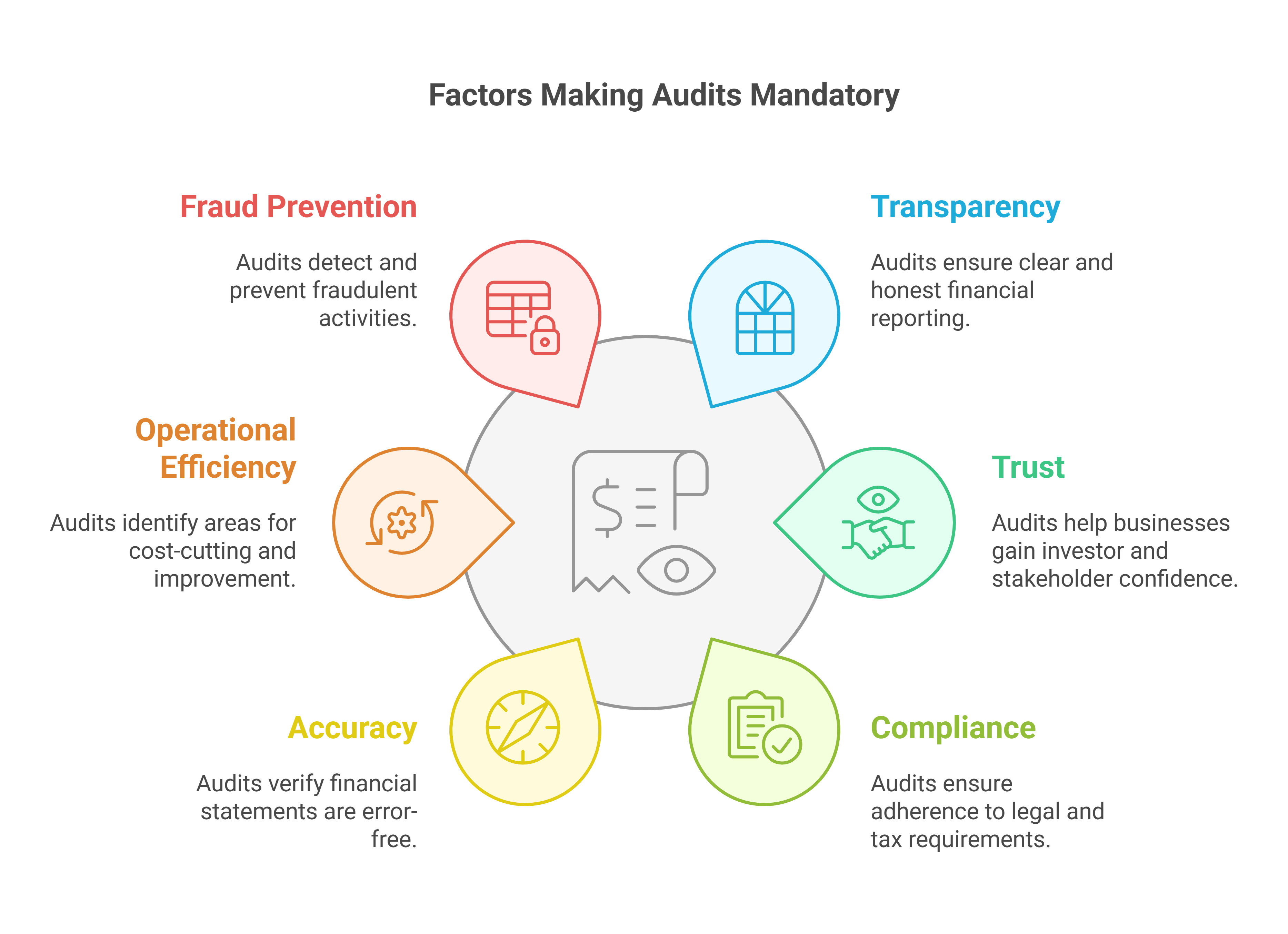 Why Are Audits Important for Businesses in UAE?