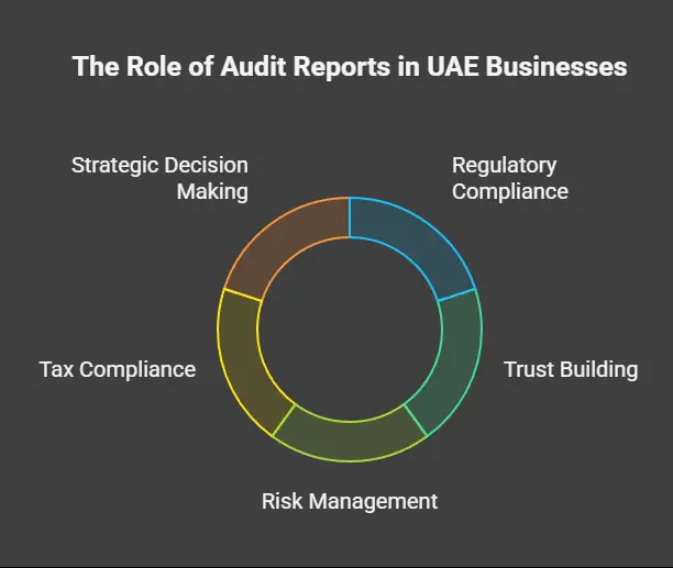Importance of Audit Reports and Statutory Standards in the UAE