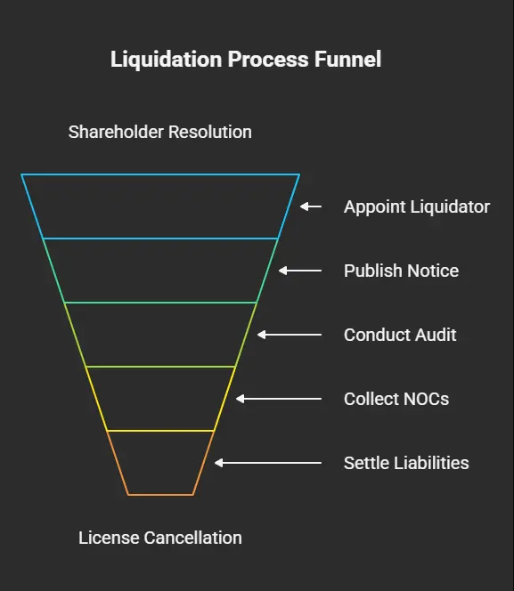 Liquidation Audit Checklist_ Step-by-Step