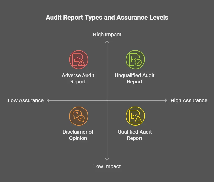 Type of Audit Report